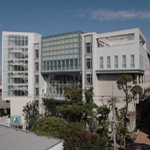 国立国際美術館