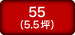 SE55