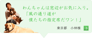  わんちゃんは窓辺がお気に入り。風の通り道が僕たちの指定席だワン！」　東京都 小林様の声へ