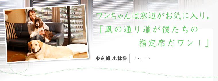 ワンちゃんは窓辺がお気に入り。「風の通り道が僕たちの指定席だワン！」［東京都　小林様］