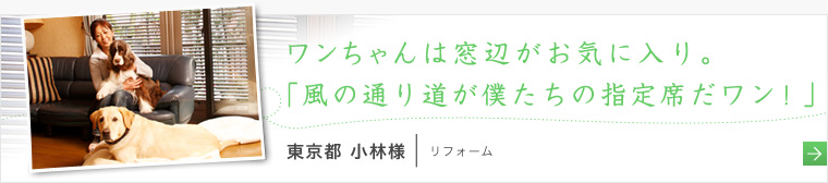 わんちゃんは窓辺がお気に入り。風の通り道が僕たちの指定席だワン！」　東京都 小林様の声へ